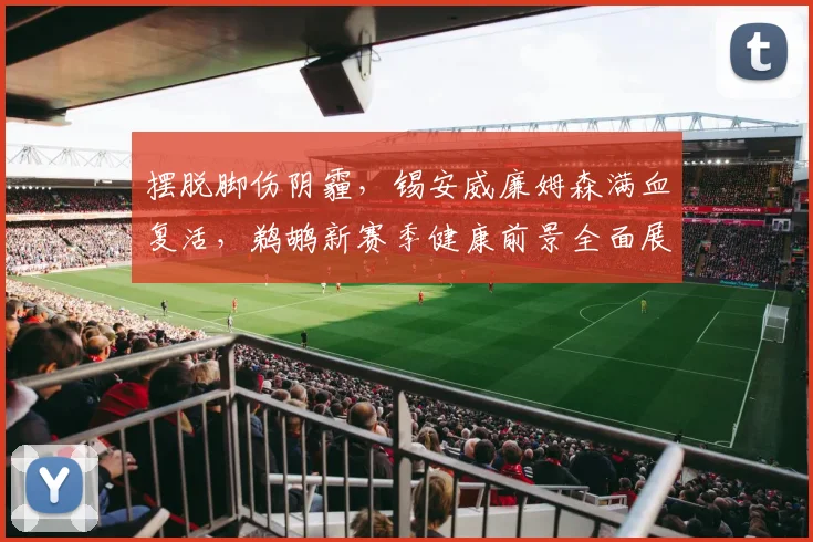 摆脱脚伤阴霾,锡安威廉姆森满血复活,鹈鹕新赛季健康前景全面展望
