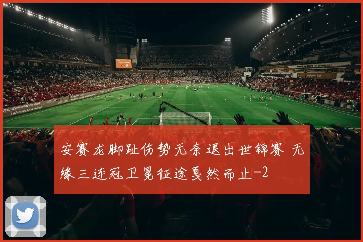 安赛龙脚趾伤势无奈退出世锦赛 无缘三连冠卫冕征途戛然而止